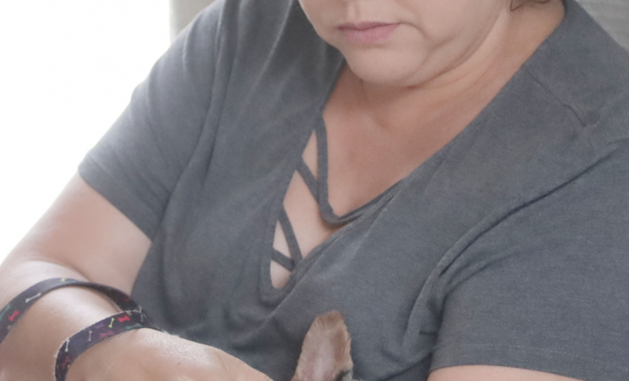 Até o próximo domingo mais sete cidades recebem o CastraPet Paraná