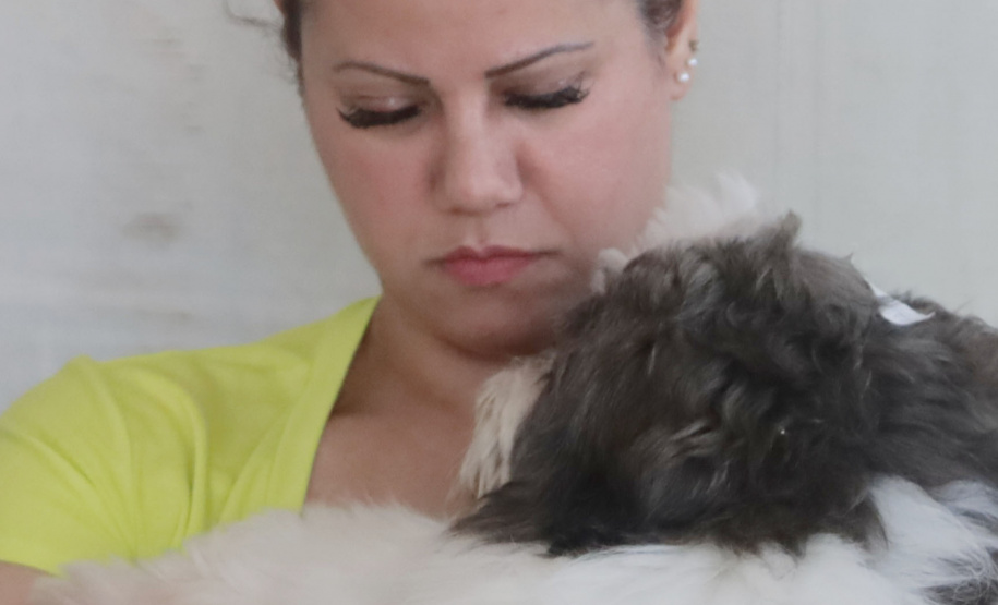 Até o próximo domingo mais sete cidades recebem o CastraPet Paraná