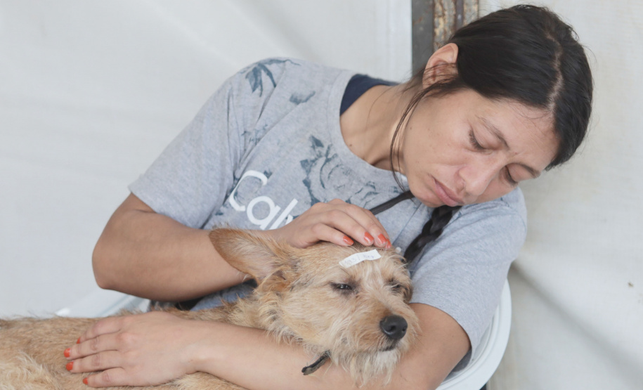 Até o próximo domingo mais sete cidades recebem o CastraPet Paraná