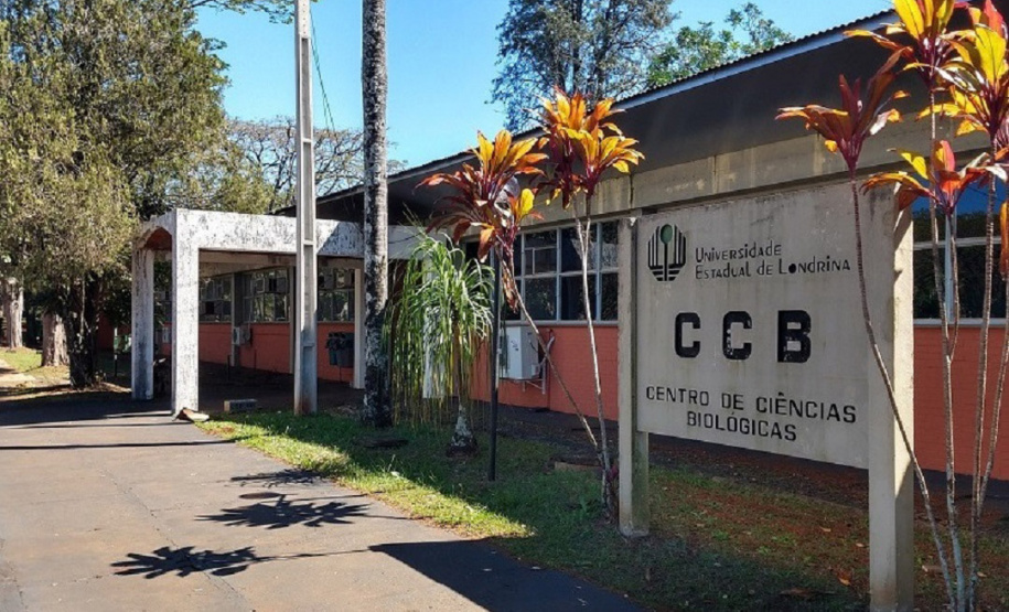 Curso de Ciências Biológicas faz 50 anos e comemora jubileu de ouro