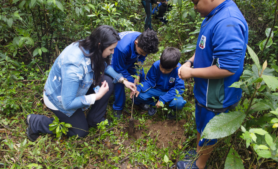 Em alusão ao Dia da Árvore de 2022, IAT promove atividades com crianças na RMC