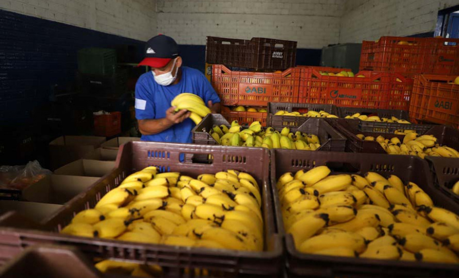 Programa da Ceasa Paraná faz doação de 6 mil quilos de hortigranjeiros ao Hospital Erasto Gaertner