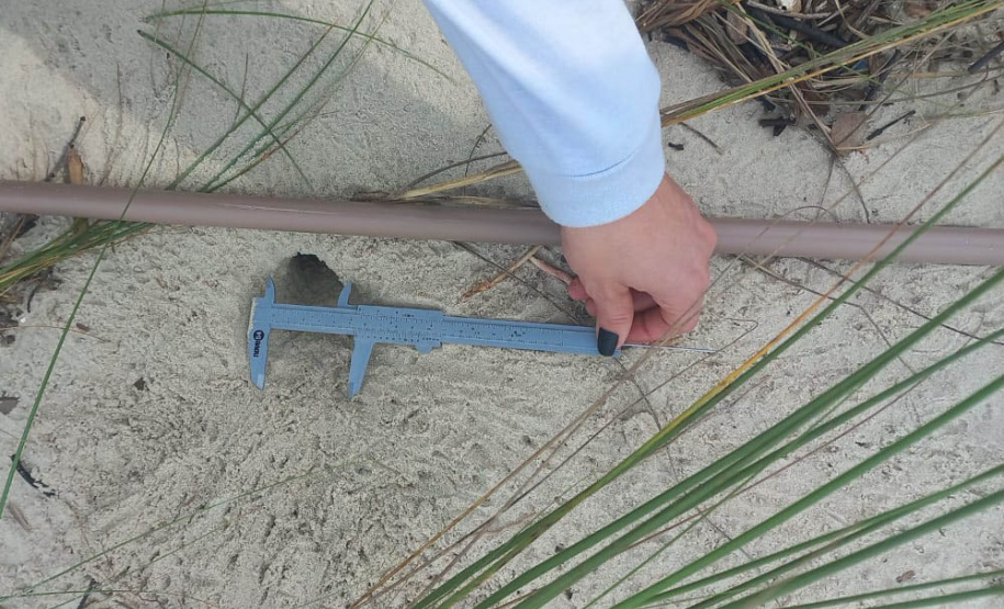 Programas ambientais acompanham obras no Litoral do Estado