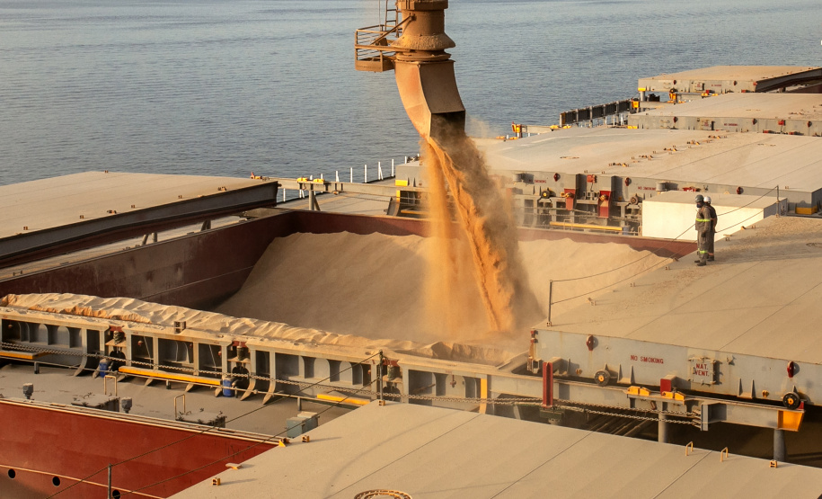 Porto espera exportar cerca de 6,6 milhões de toneladas de grãos e farelo de agora até o final do ano