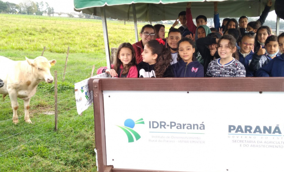 Polo de Pesquisa e Inovação do IDR-Paraná, em Paranavaí, recebe visitas de estudantes -