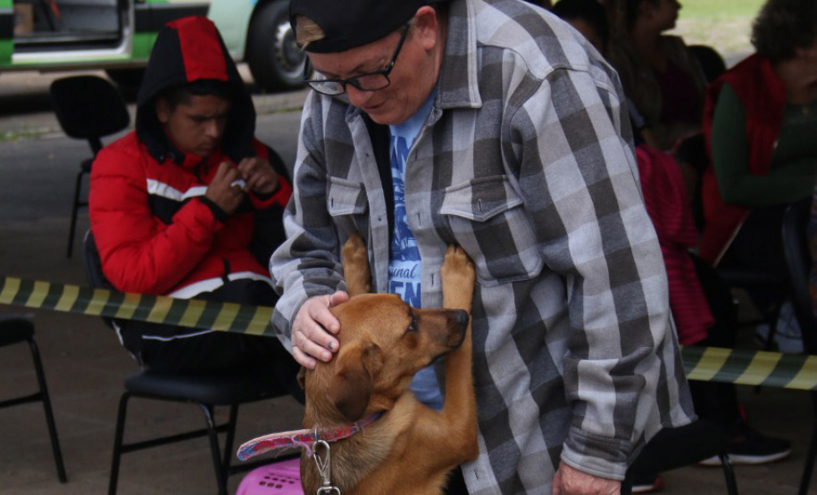 CastraPet Paraná atinge a marca de 138 municípios atendidos em todo o Estado