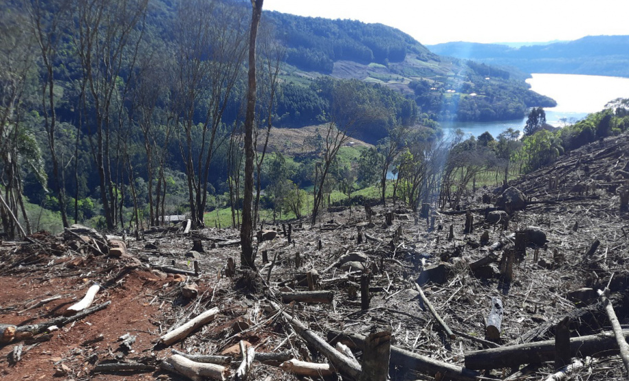 Pela primeira vez no Paraná, IAT faz fiscalização remota na Operação Mata Atlântica em Pé