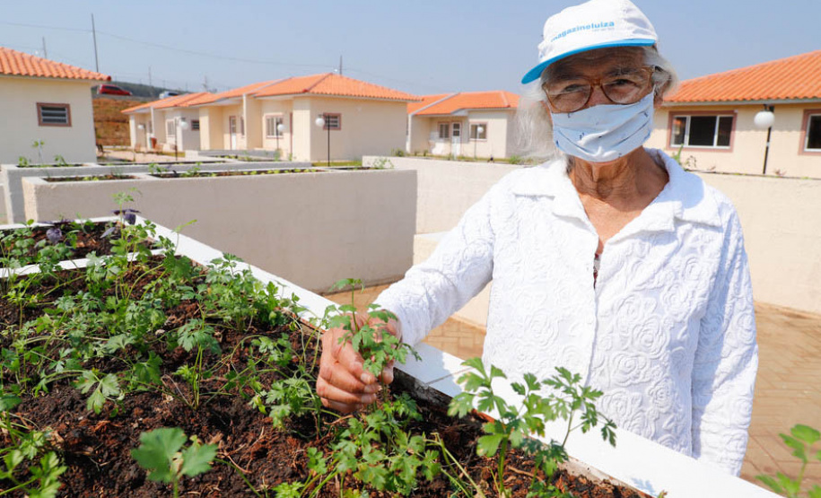 População pode reverter doações ao Fundo Estadual dos Direitos do Idoso do Paraná em dedução no Imposto de Renda