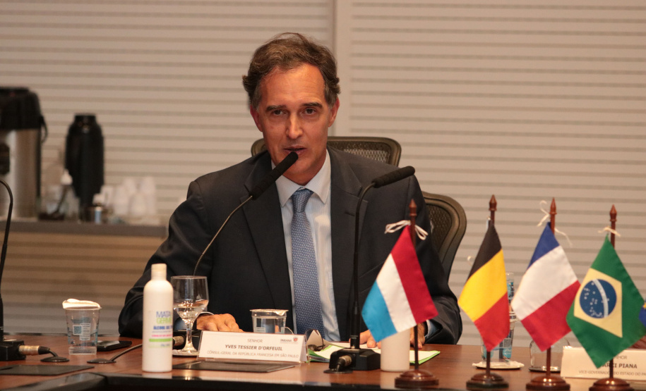 Vice-governador do Estado do Paraná, Darcia Piana, durante reunião com cônsules da União Europeia -