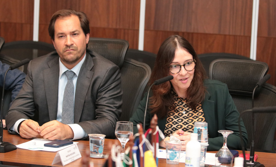 Vice-governador do Estado do Paraná, Darcia Piana, durante reunião com cônsules da União Europeia -