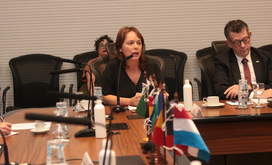 Vice-governador do Estado do Paraná, Darcia Piana, durante reunião com cônsules da União Europeia -