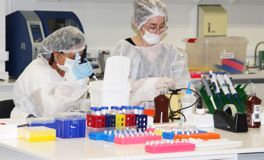 Investimento em banco de DNA ajudará a elucidar desaparecimentos de crianças e adolescentes