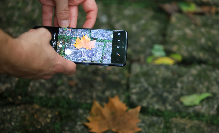 Profissionais realizam pesquisa de campo no entorno de Unidades de Conservação do Paraná