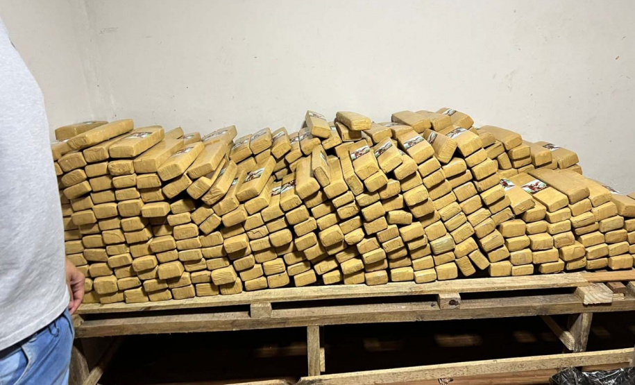 Denúncias registradas no 181 levam à apreensão de mais de uma tonelada de drogas em 2022