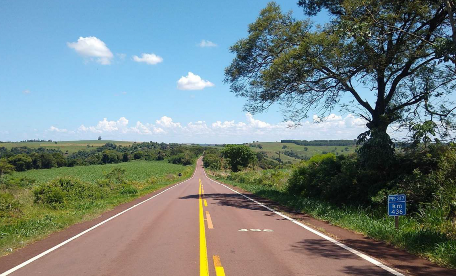 DER/PR está contratando serviço de poda de árvores em rodovias do Oeste e Sudoeste