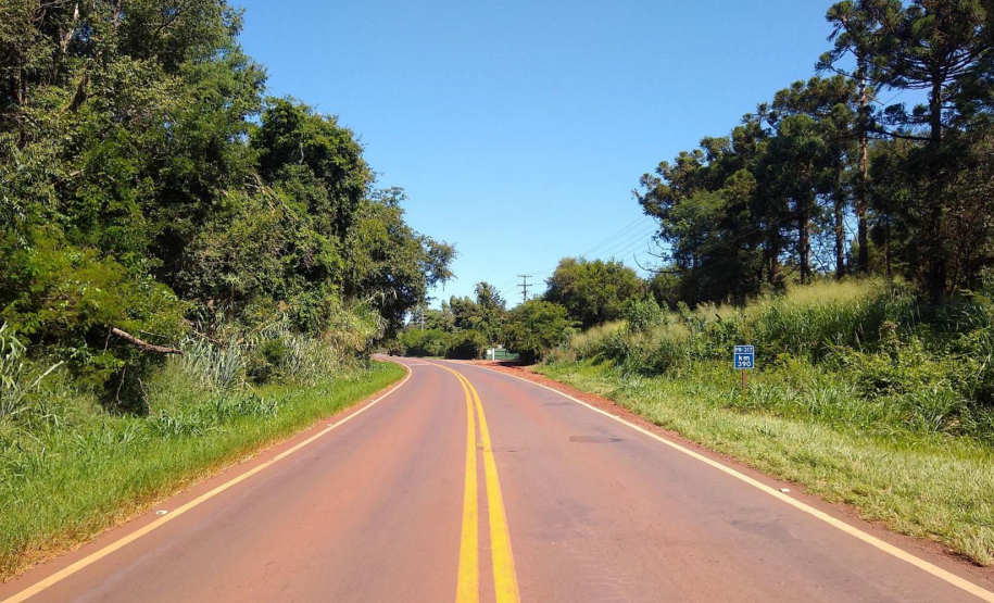 DER/PR está contratando serviço de poda de árvores em rodovias do Oeste e Sudoeste