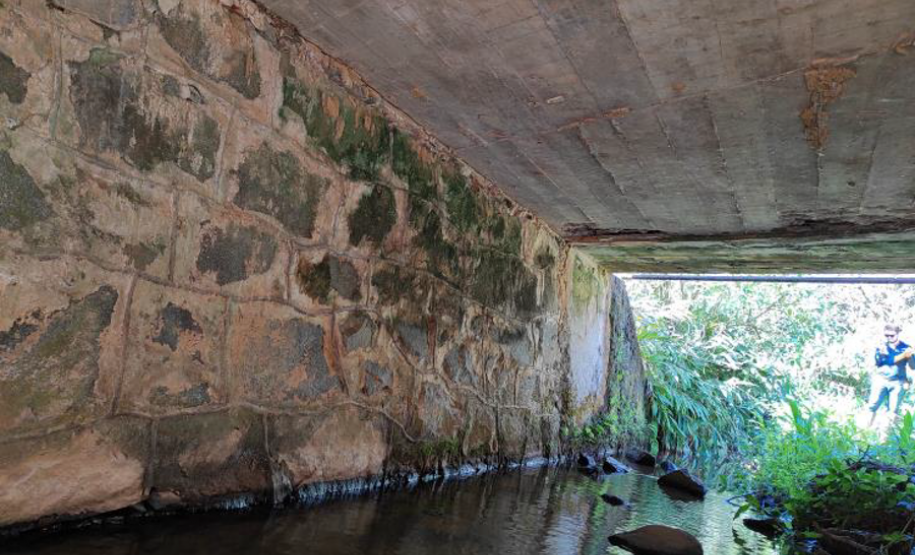 Paraná vai executar obras de melhorias em 46 pontes, pontilhões e viadutos