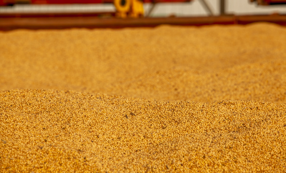 Porto espera exportar cerca de 6,6 milhões de toneladas de grãos e farelo de agora até o final do ano