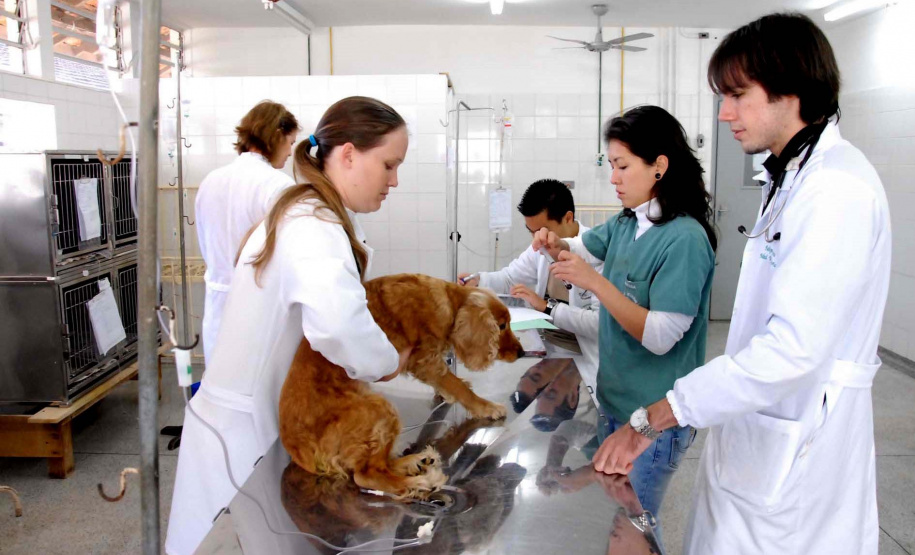 Universidades estaduais promovem serviços para a população