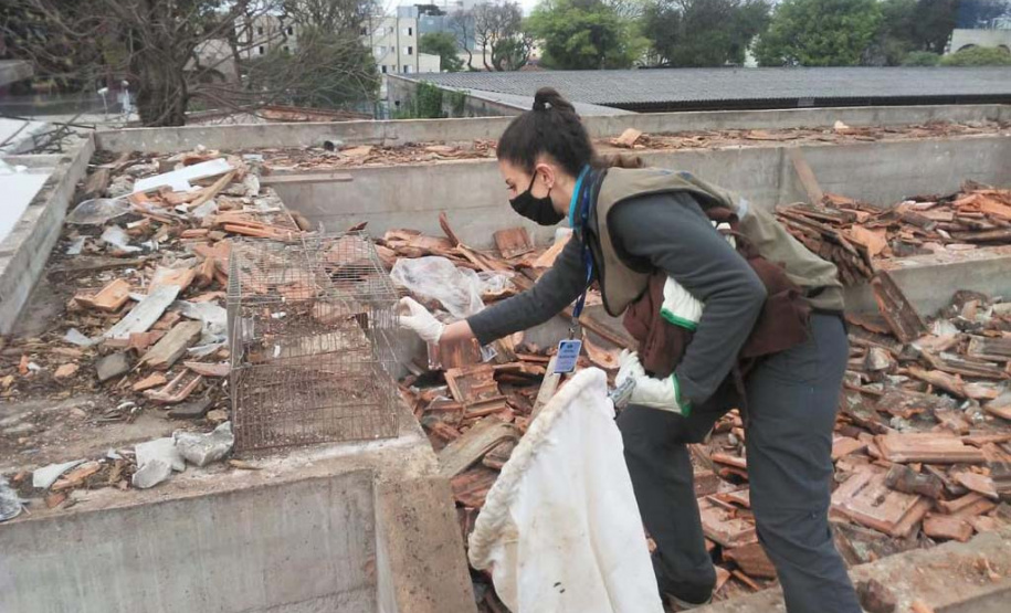 IAT padroniza ações para resgate da fauna silvestre nas cidades e suas proximidades
