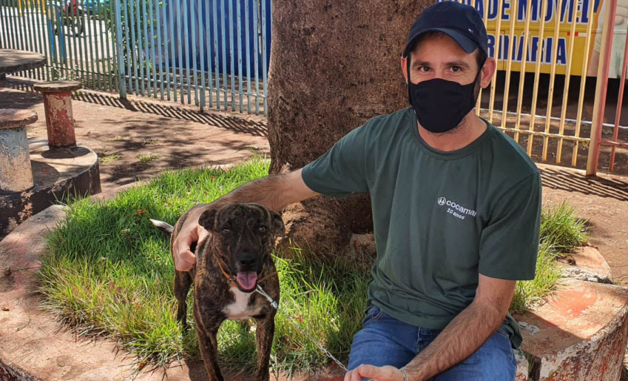 CastraPet Paraná atinge a marca de 138 municípios atendidos em todo o Estado