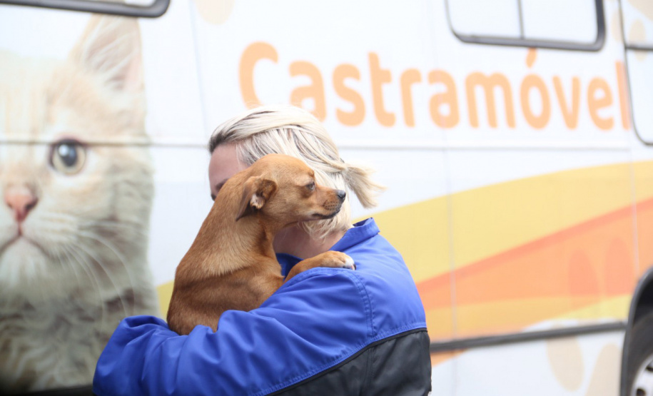 Até o próximo ano, 275 municípios do Estado contarão com ações do CastraPet Paraná