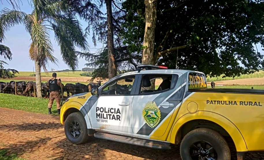 Em 90 dias, Operação Segurança Rural prende mais de 100 pessoas e apreende 32 armas em ambientes rurais