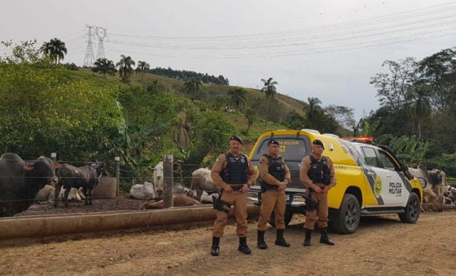 Em 90 dias, Operação Segurança Rural prende mais de 100 pessoas e apreende 32 armas em ambientes rurais
