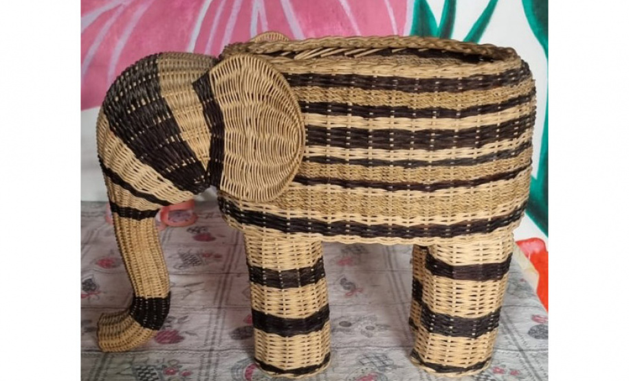 Ação do Estado ajuda 65 indígenas do Litoral a ingressar no Programa do Artesanato Brasileiro