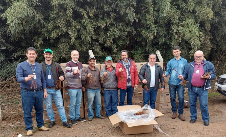 Conquista de Indicação Geográfica abre novos mercados para vinho do Bituruna