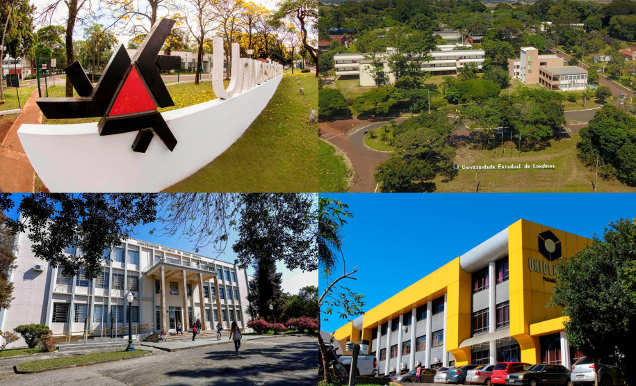 Pesquisadores das universidades paranaenses estão entre os mais influentes do mundo