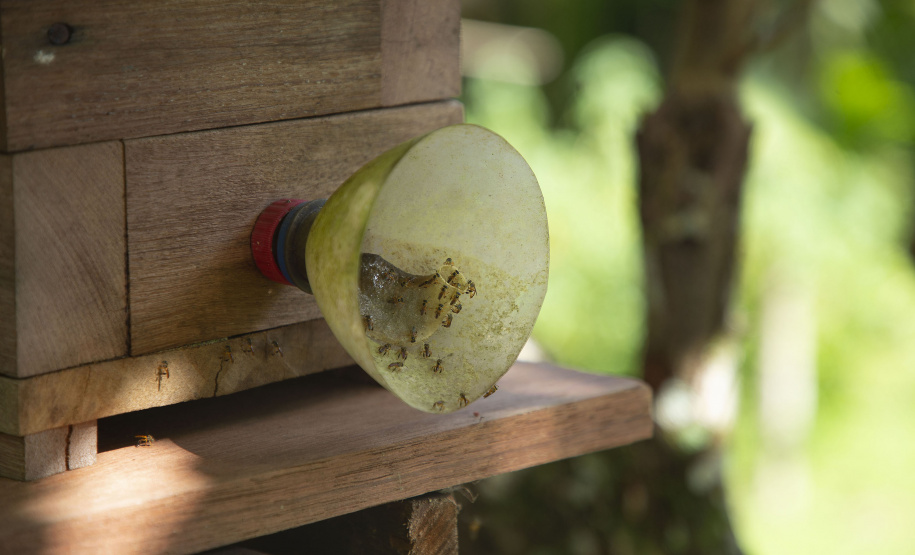 MORRETES (BRASIL), 10/11/2022;  Agricultores de Morretes recebem curso apicultura em uma propriedade com criacção de abelhas, Paraná, Brasil, em 10 de Novembro de 2022. Foto: Hedeson Alves/TECPAR