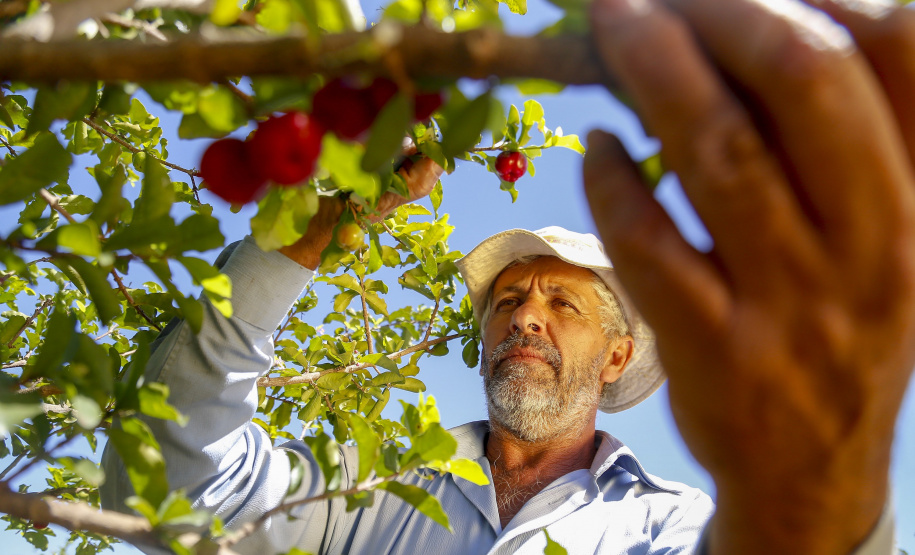 Produtores recebem nesta quarta-feira prêmio que valoriza boas práticas do agronegócio