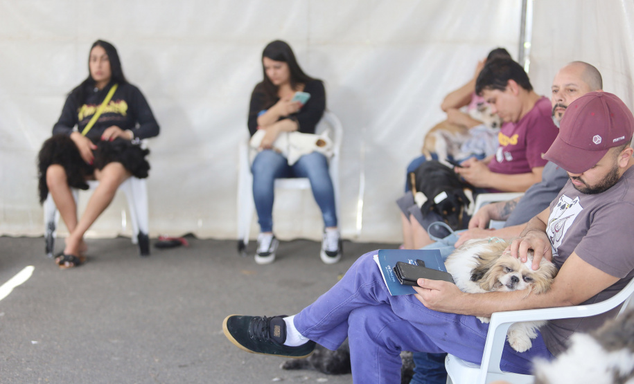 Mais de 2 mil animais devem ser atendidos nesta semana pelo CastraPet Paraná