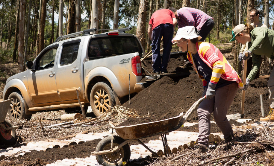 APP Paraná Mais Verde facilita pedido de mudas de árvores nativas para o IAT