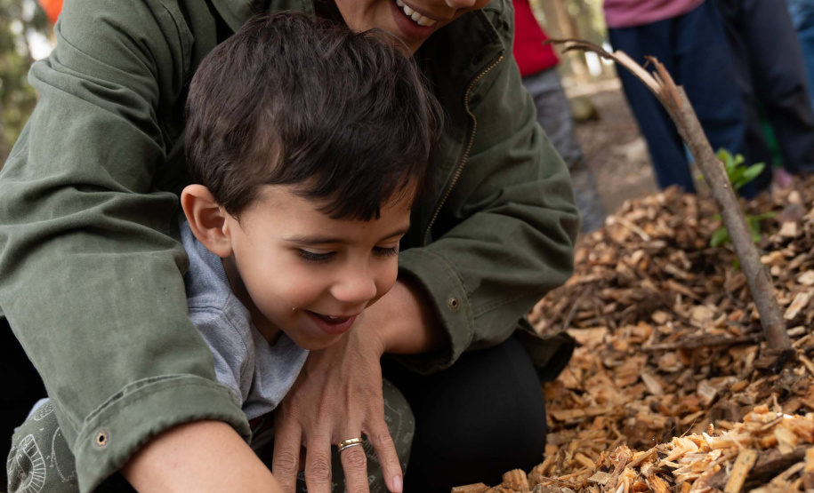 APP Paraná Mais Verde facilita pedido de mudas de árvores nativas para o IAT