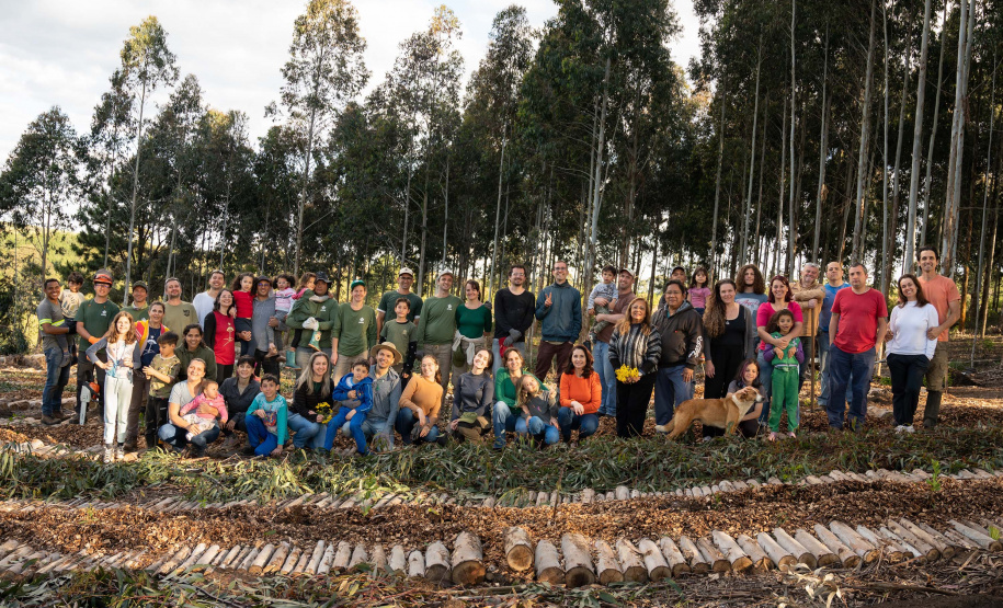 APP Paraná Mais Verde facilita pedido de mudas de árvores nativas para o IAT