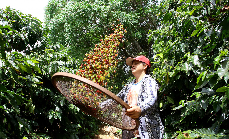 Café, tecnologias, sucessão e mulheres no agro são as novas categorias do Prêmio Orgulho da Terra