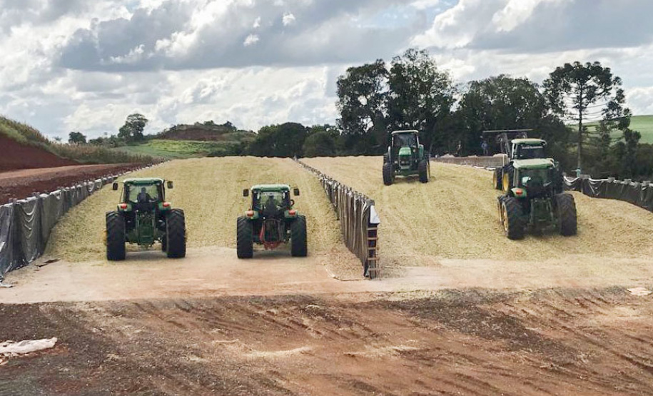 Com participação de mais de 300 produtores, IDR-Paraná realiza o 4º Torneio de Silagem