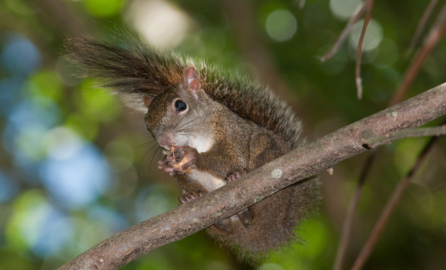 Colégios da rede estadual vão receber 1,6 mil exemplares de livro sobre a geografia e o meio ambiente do Paraná