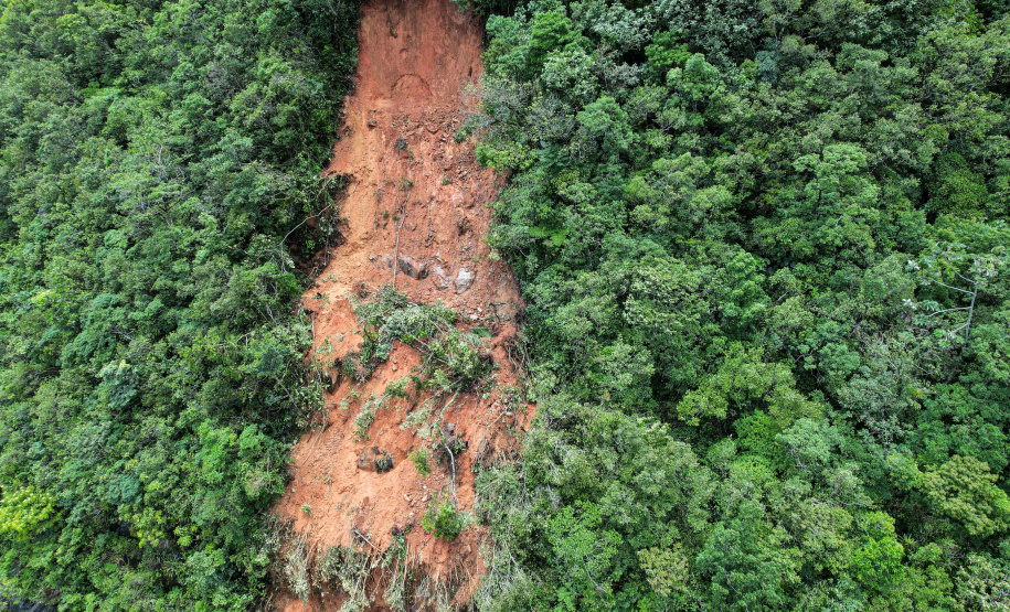BR-277 será liberada parcialmente na tarde desta quarta-feira