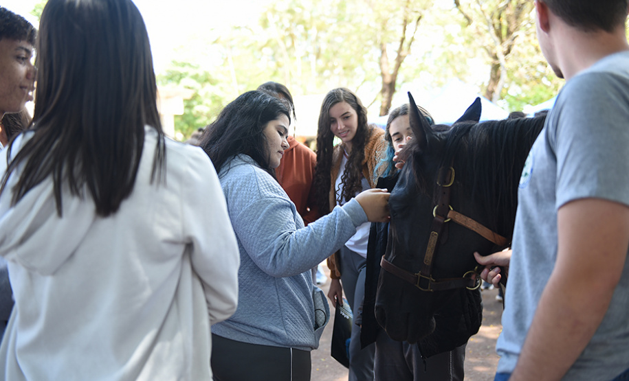 I Feira de profissões da UENP reúne mais de 3 mil estudantes