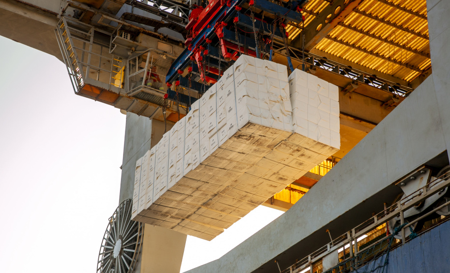 Movimentação portuária do Paraná registra alta no mês e no acumulado de outubro