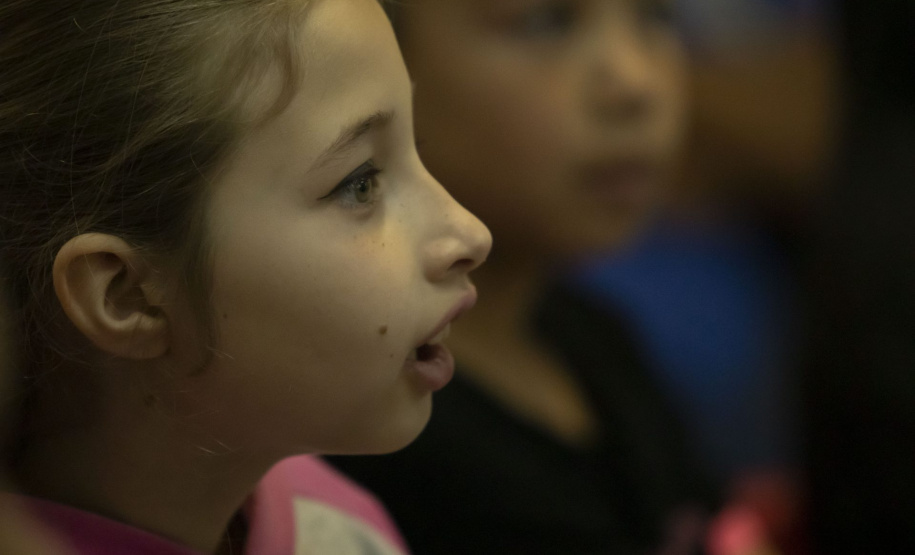 Mostra Especial do 50° Fenata leva peças a 60 instituições de Ponta Grossa