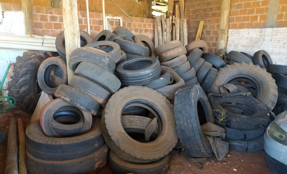 Sesa divulga balanço do Dia D de combate à dengue no Estado