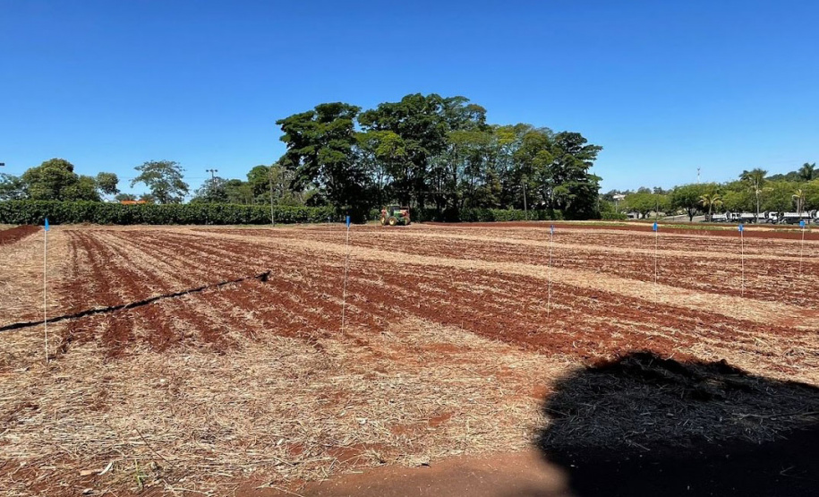 Parceria entre IDR-Paraná e Cocriagro traz smart farm como vitrine tecnológica de soluções inovadoras para produtores rurais