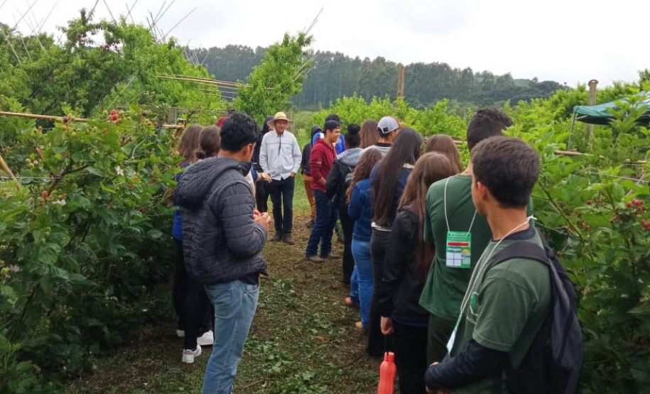 Estudantes conhecem tecnologias para a produção de frutas de clima temperado na Estação de Pesquisa do IDR-Paraná