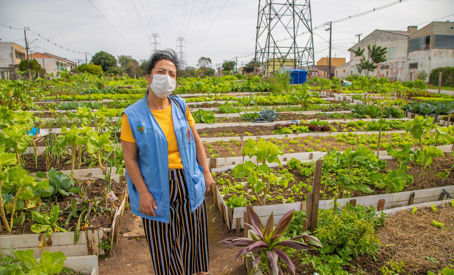 Hortas urbanas sob linhas de energia produzem toneladas de alimentos orgânicos no PR