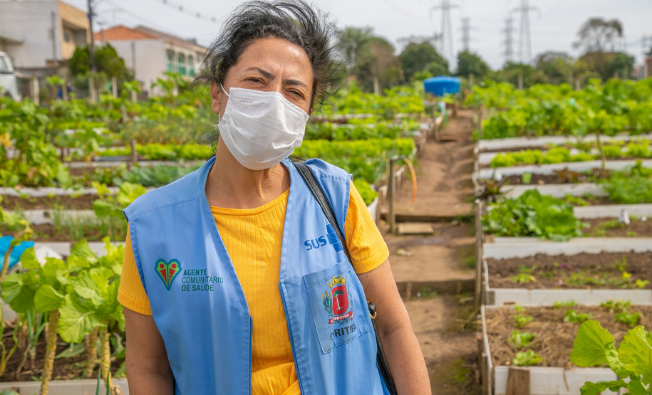 Hortas urbanas sob linhas de energia produzem toneladas de alimentos orgânicos no PR