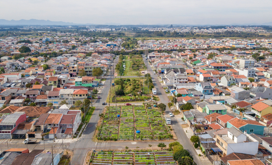 Hortas urbanas sob linhas de energia produzem toneladas de alimentos orgânicos no PR